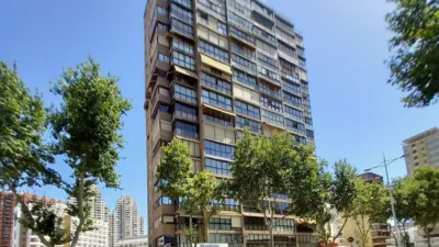 Apartment in Platja de Llevant photo 13