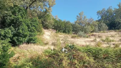 Rustic Finca in Valverde de La Vera photo 12