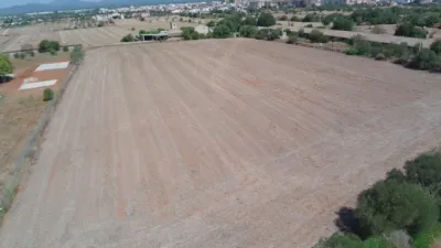 Rustic finca in Campos photo 7