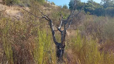 Rustic Finca in Valverde de La Vera photo 42