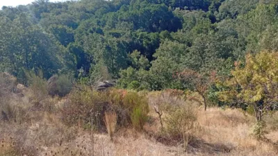 Rustic Finca in Valverde de La Vera photo 4