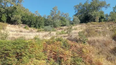 Rustic Finca in Valverde de La Vera photo 9