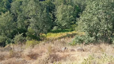 Rustic Finca in Valverde de La Vera photo 50