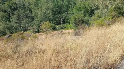 Rustic Finca in Valverde de La Vera photo 58