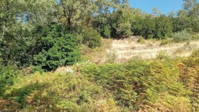 Rustic Finca in Valverde de La Vera photo 5