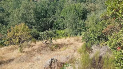 Rustic Finca in Valverde de La Vera photo 25