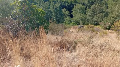 Rustic Finca in Valverde de La Vera photo 56