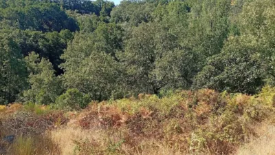 Rustic Finca in Valverde de La Vera photo 45