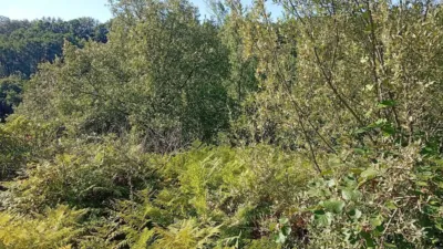 Rustic Finca in Valverde de La Vera photo 33