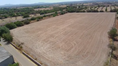 Rustic finca in Campos photo 6
