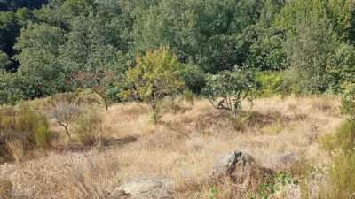Rustic Finca in Valverde de La Vera photo 26