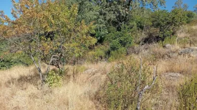 Rustic Finca in Valverde de La Vera photo 41