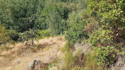 Rustic Finca in Valverde de La Vera photo 3