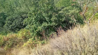 Rustic Finca in Valverde de La Vera photo 38