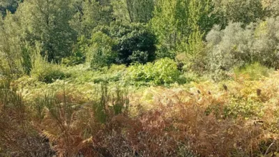 Rustic Finca in Valverde de La Vera photo 18