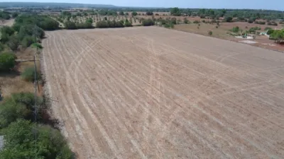 Rustic finca in Campos photo 5