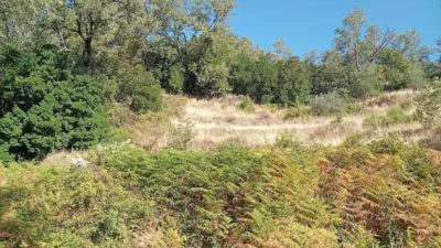 Rustic Finca in Valverde de La Vera photo 6