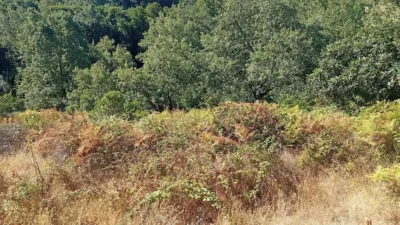 Rustic Finca in Valverde de La Vera photo 36
