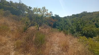 Rustic Finca in Valverde de La Vera photo 30