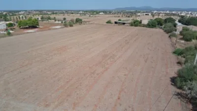 Rustic finca in Campos photo 8