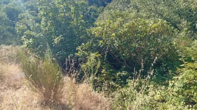 Rustic Finca in Valverde de La Vera photo 35