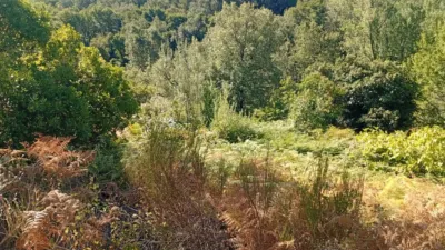 Rustic Finca in Valverde de La Vera photo 17