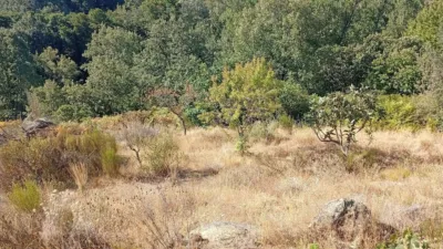 Rustic Finca in Valverde de La Vera photo 27