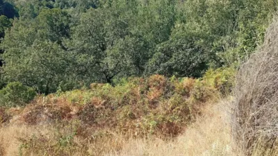 Rustic Finca in Valverde de La Vera photo 44