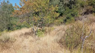 Rustic Finca in Valverde de La Vera photo 40