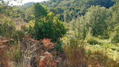 Rustic Finca in Valverde de La Vera photo 19
