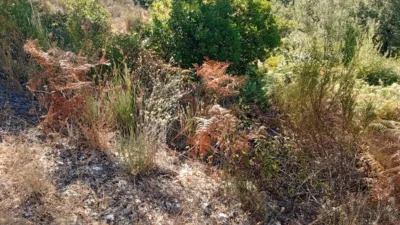 Rustic Finca in Valverde de La Vera photo 20