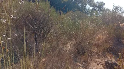 Rustic Finca in Valverde de La Vera photo 48