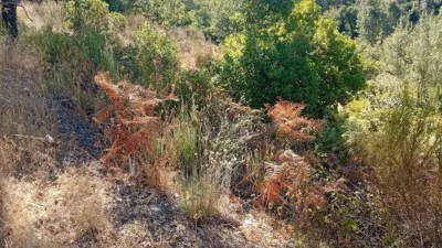 Rustic Finca in Valverde de La Vera photo 21