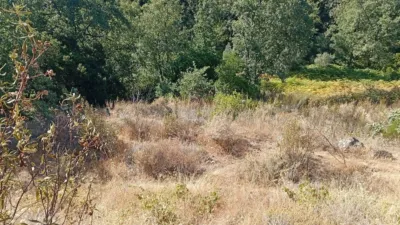 Rustic Finca in Valverde de La Vera photo 52