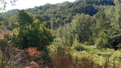 Rustic Finca in Valverde de La Vera photo 2