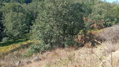 Rustic Finca in Valverde de La Vera photo 51