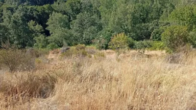 Rustic Finca in Valverde de La Vera photo 57