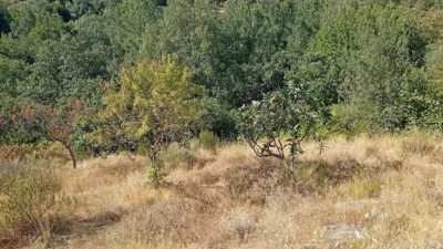 Rustic Finca in Valverde de La Vera photo 28