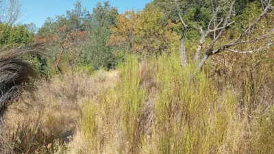 Rustic Finca in Valverde de La Vera photo 47