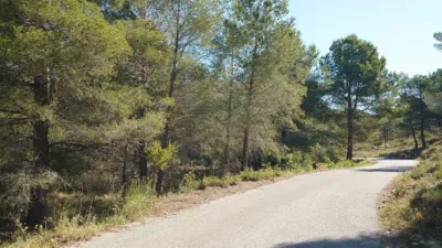 Terreno en venta en Calle Tapiada, Número 62 - Vista 4