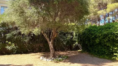Chalet en Sant Antoni de Calonge photo 37