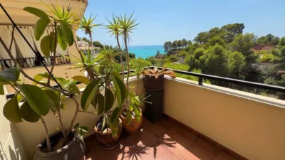 Apartment in Mascarat photo 2