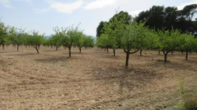 Villa in Ibi photo 5