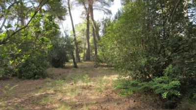 Villa in Ibi photo 40