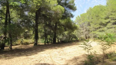 Villa in Ibi photo 38