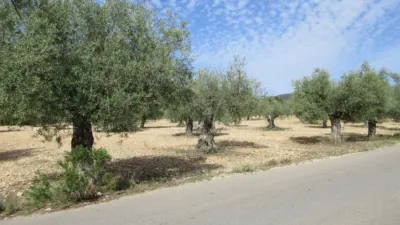 Villa in Ibi photo 6