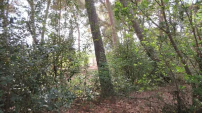 Villa in Ibi photo 39