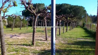 Rustic finca in Caldes de Malavella photo 12