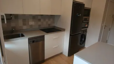 Flat in Amorebieta photo 5
