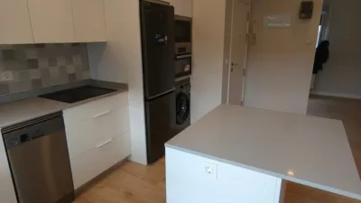Flat in Amorebieta photo 4